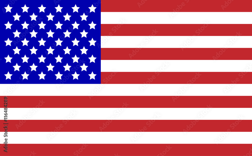 Fototapeta premium Flag of United States