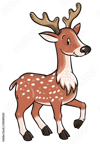 Lttle funny young deer or fawn
