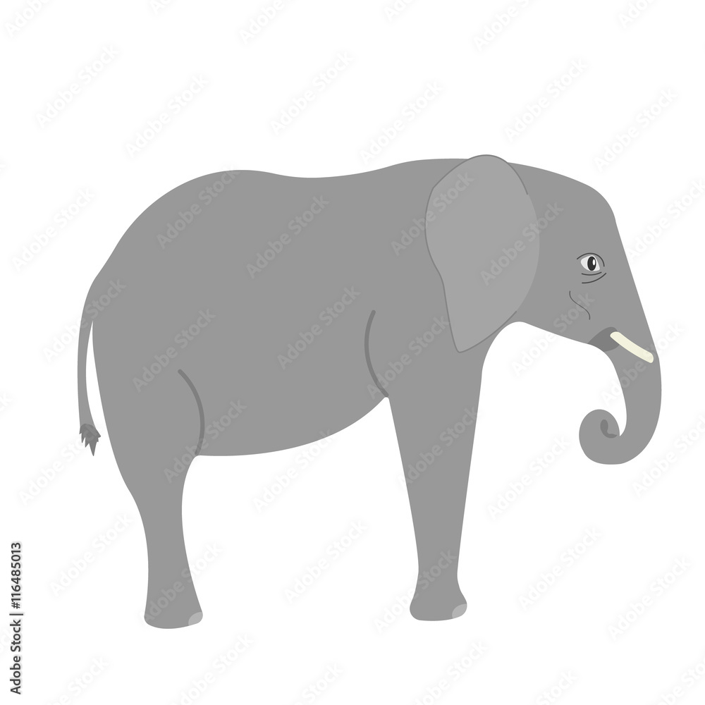 Indian elephant