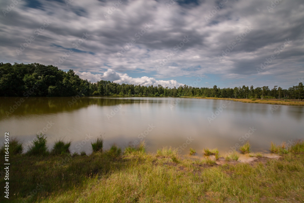 Lake landscape