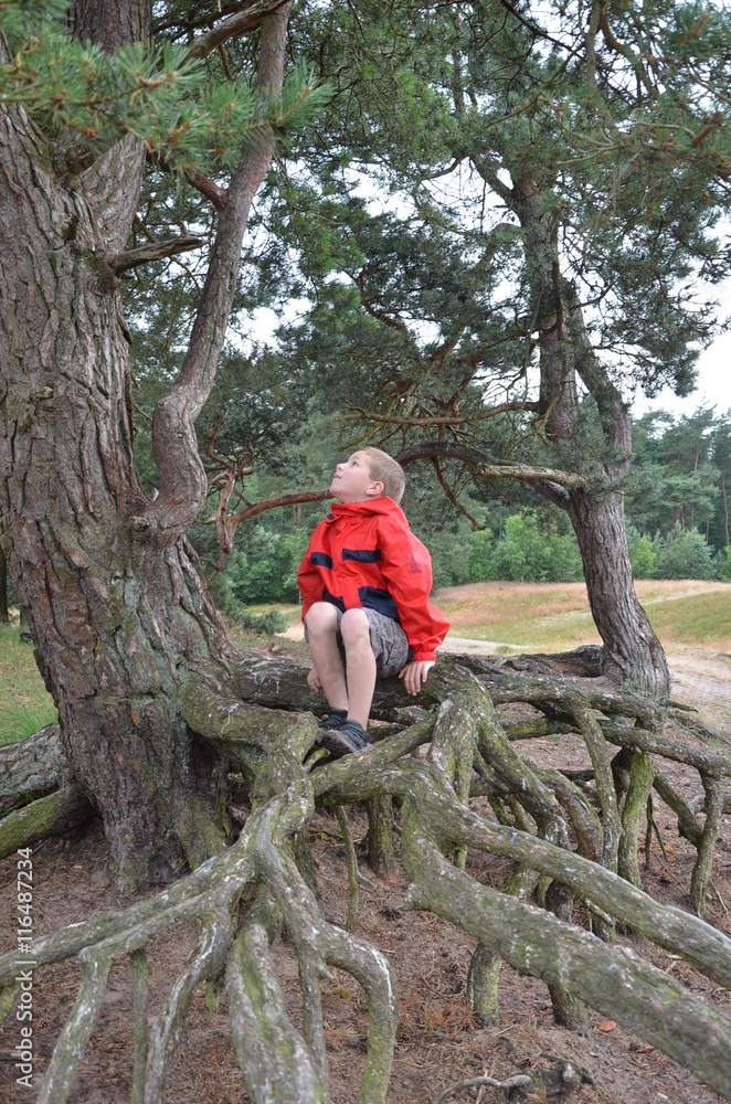 Auf Bäume klettern - Kind klettert auf Baum Auf Bäume klettern - Kind klettert auf Baum