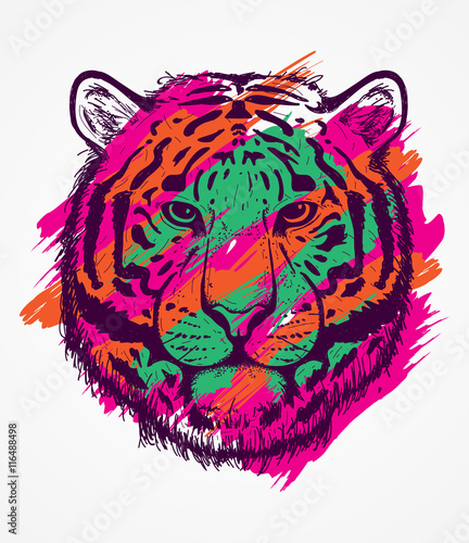 Fototapeta Naklejka Na Ścianę i Meble -  Colorful tiger sketch line