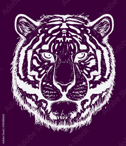 Fototapeta Naklejka Na Ścianę i Meble -  Tiger sketch line