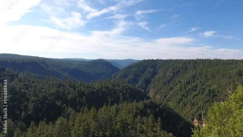 Aerial shot of a remote wooded canyon
