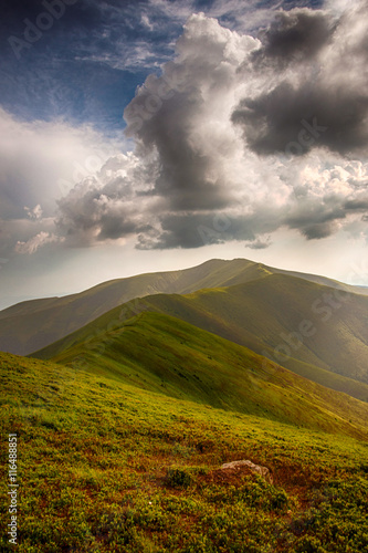 Polonina Borzava (Carpathians, Ukraine 2016) © vector_master