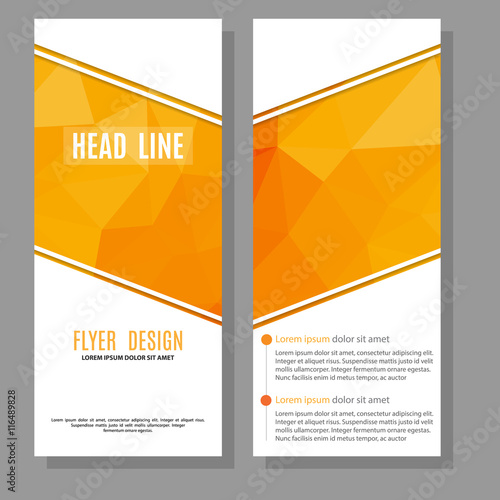 Vector Brochure Flyer design Layout template