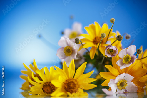 Summer bouquet of yellow daisies © Peredniankina