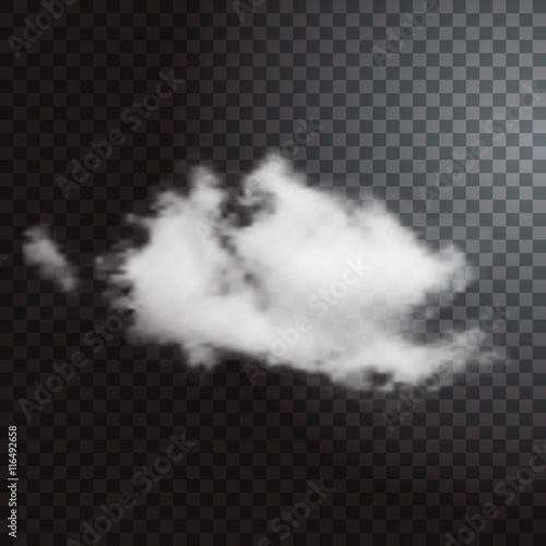 Realistic cloud on transparent background.