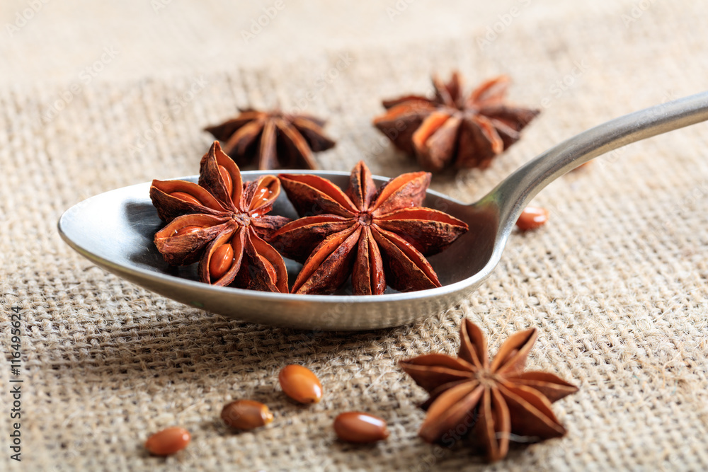 Star anise in a spoon Star anise in a spoon