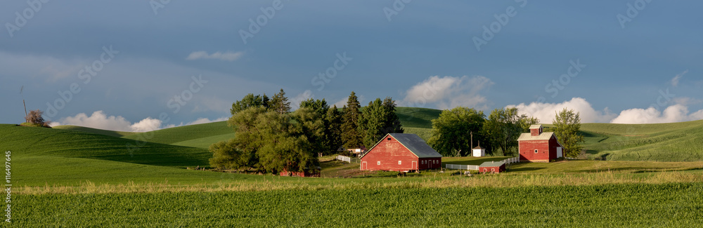 Green fields red barn, and blue sky, that is all you need Green fields red barn, and blue sky, that is all you need