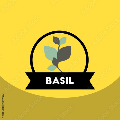 flat vector icon design collection Kitchenware seasoning basil