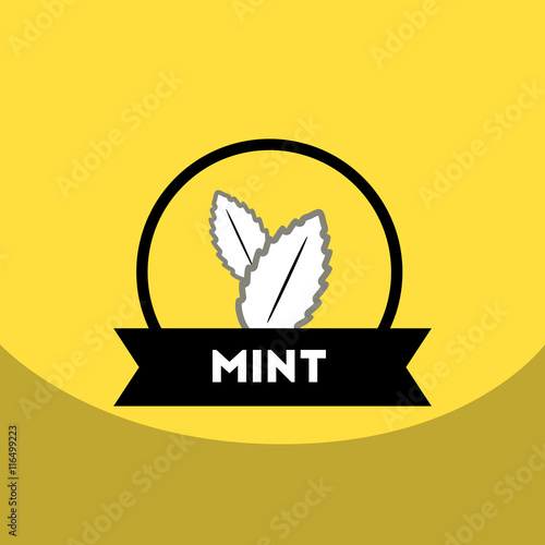 flat vector icon design collection Kitchenware seasoning mint
