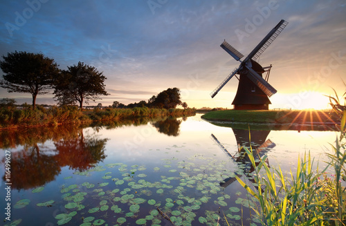 summer sunrise behind Dutch windmill © Olha Rohulya