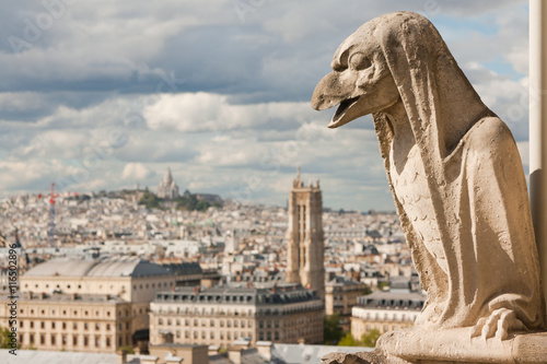 Gargoyle on Notre Dame Cathedral and city of Paris close up, France