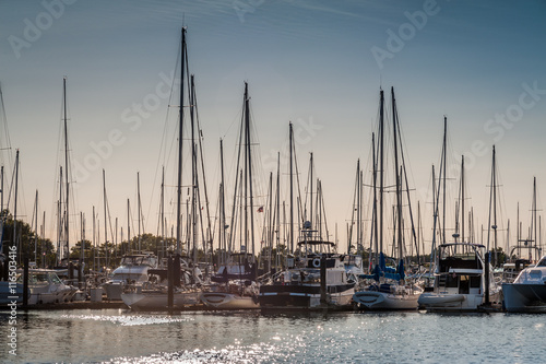 crowded masts in Point Roberts marina, Washington state, USA