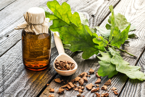 Oak branch and oak bark