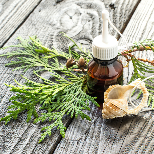 The essential oil and fresh sprig of arborvitae