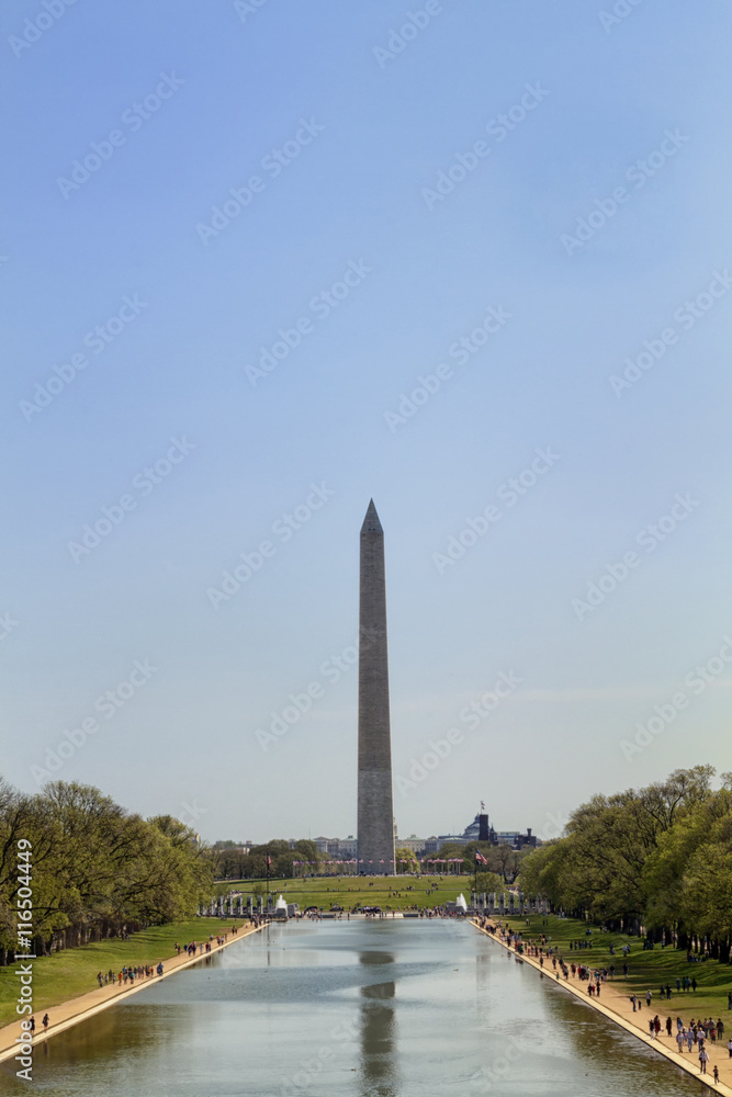 Fototapeta premium Washington Monument National Mall