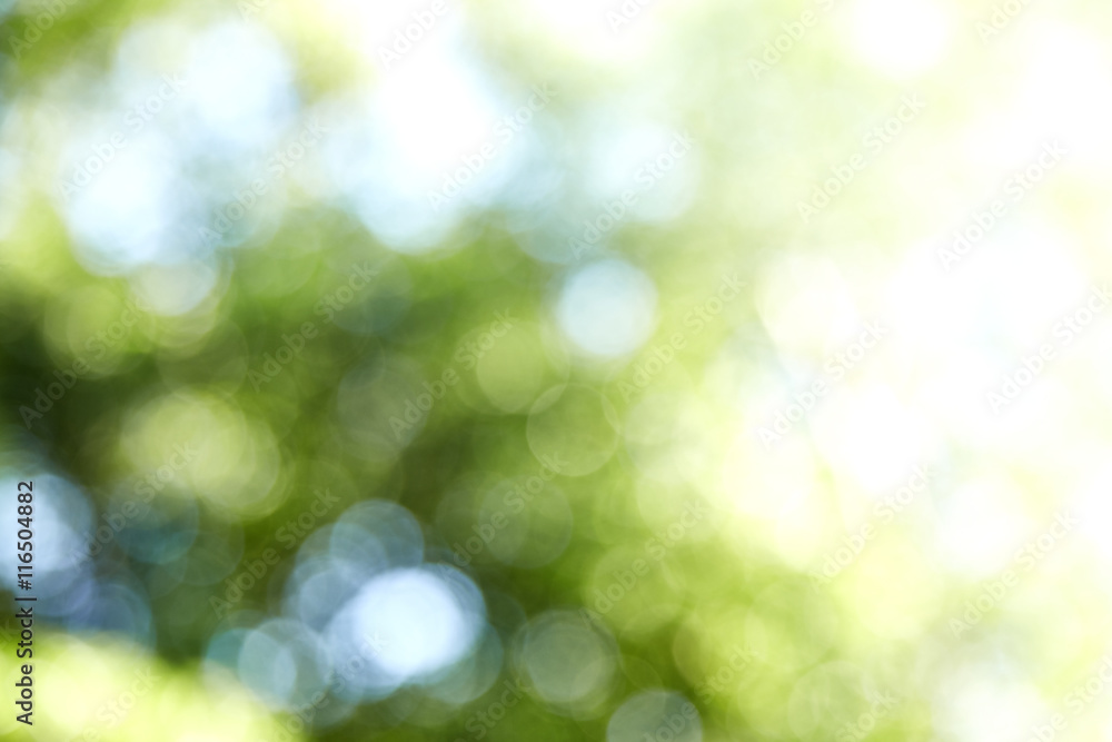 Obraz premium Clear Soft Light Bokeh