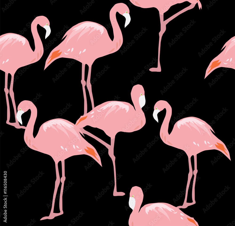 Fototapeta premium vector flamingo seamless background