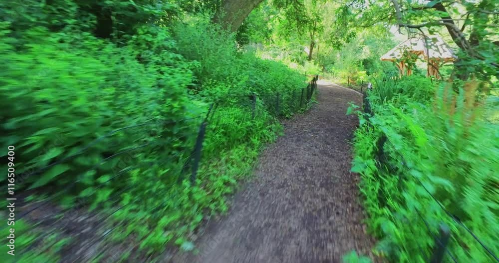 NEW YORK - Circa July, 2016 - A personal perspective walking on a path in Central Park. NEW YORK - Circa July, 2016 - A personal perspective walking on a path in Central Park.
