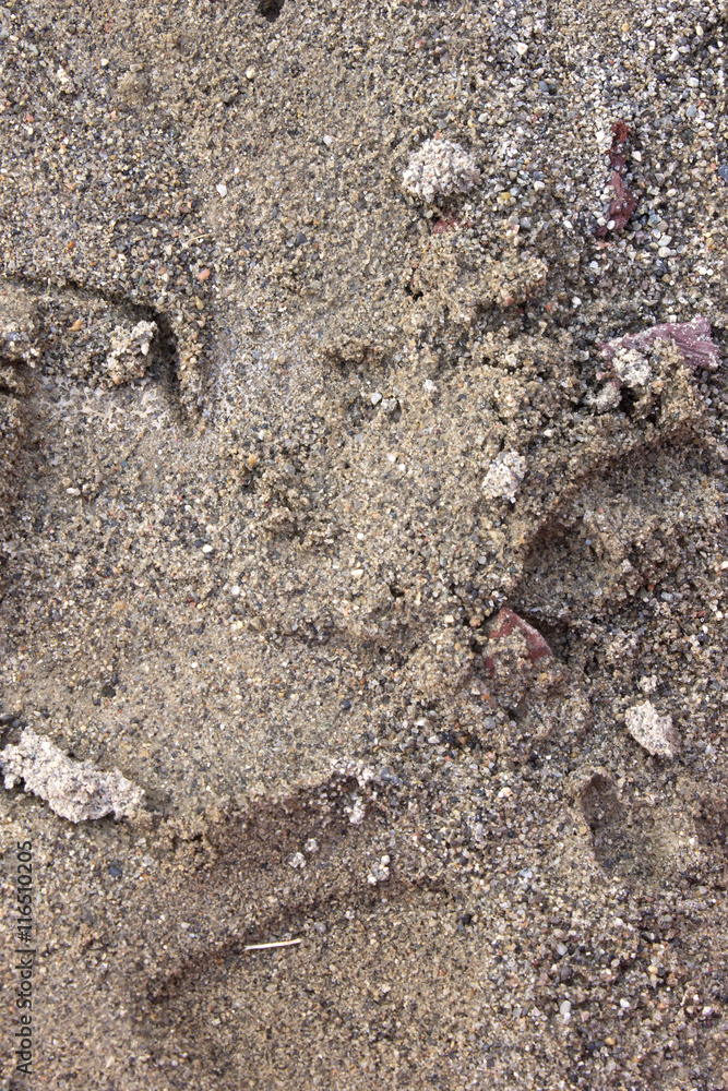 This is a closeup photograph of sand inside a sandbox This is a closeup photograph of sand inside a sandbox