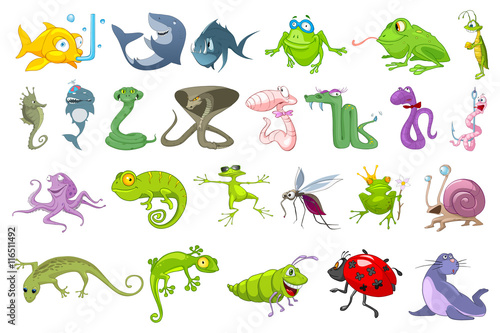 Vector set of animals illustrations.