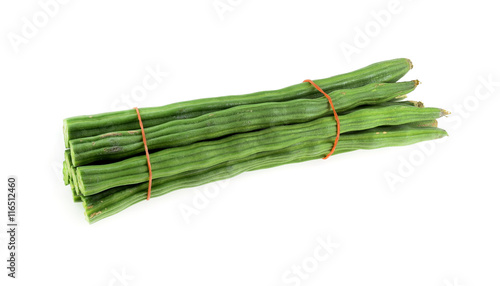 Quadro su tela Moringa oleifera Lam isolated on white background.