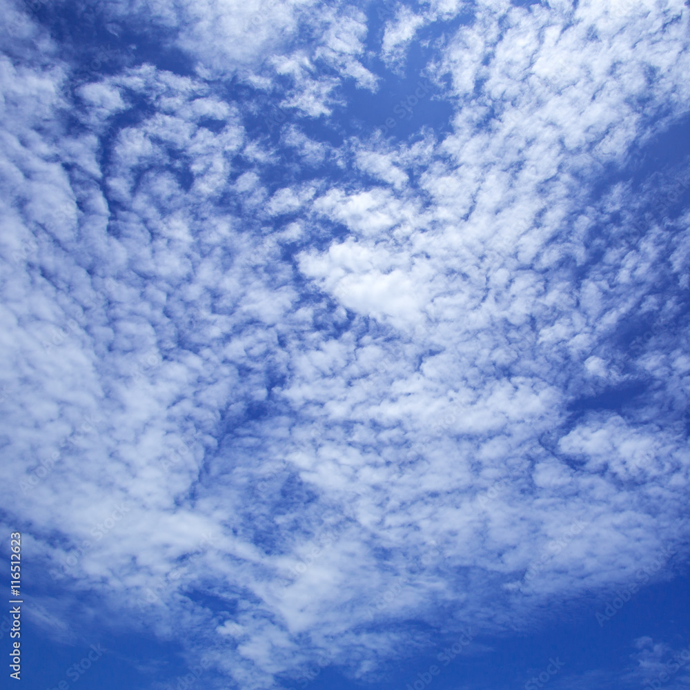 white fluffy clouds in the blue sky background.
