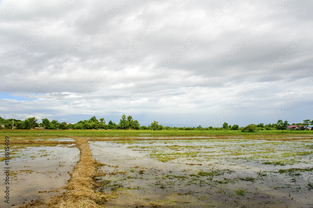 landscape of empty mud field with sky landscape of empty mud field with sky