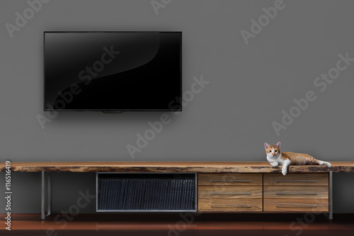 Living room led tv on wall with kitten on wooden table