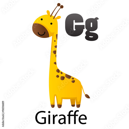 Alphabet letter G-Giraffe