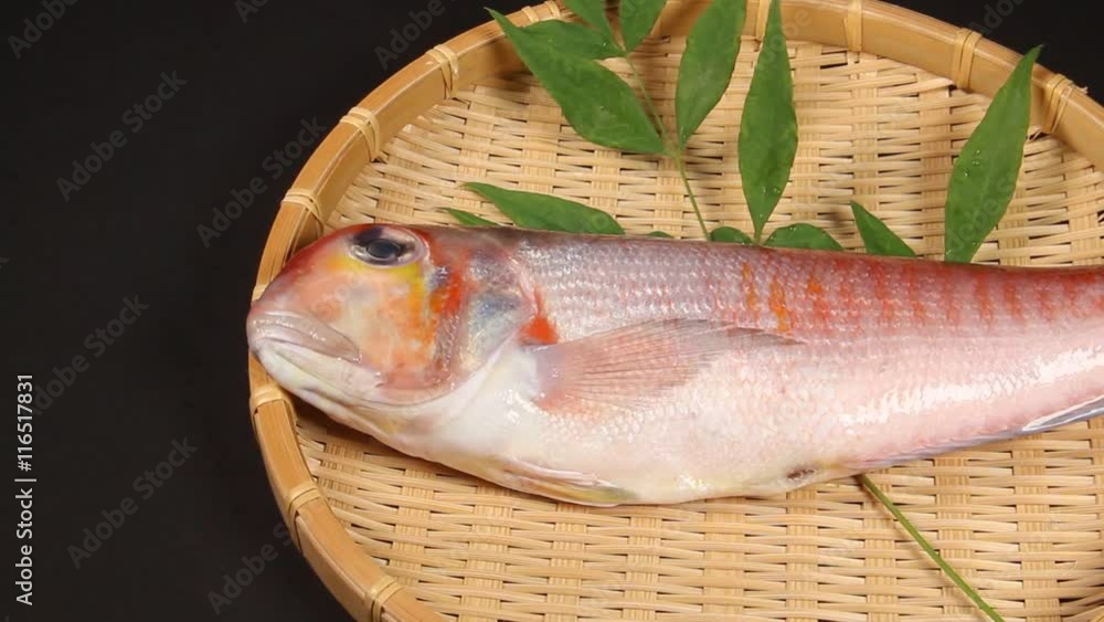 アマダイ