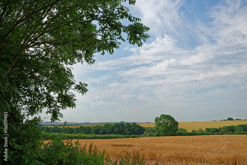 Lincolnshire Wolds Farmland,UK