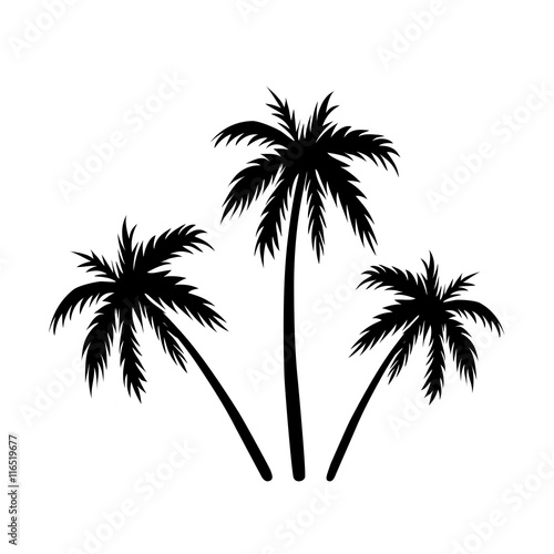 Three palms sketch. Black coconut tree silhouette  isolated on white background. Symbol of tropical nature  beach  summer holiday  travel. Floral exotic landscape. Natural design. Vector illustration