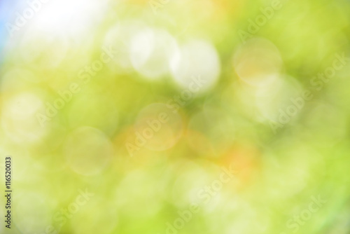 green abstract light background.