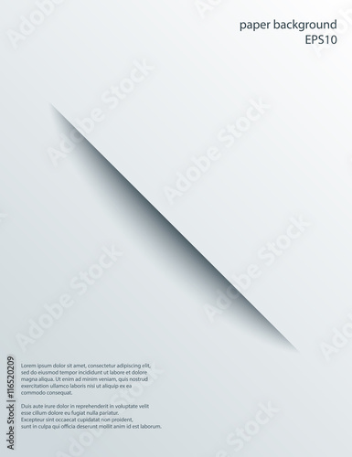 Wallpaper Mural Vector abstract cut background Torontodigital.ca