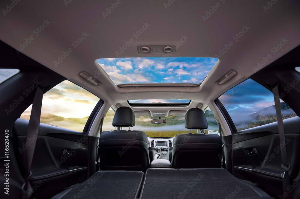 Travel in car Travel in car