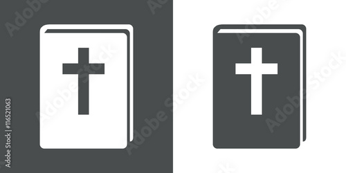 Icono plano Biblia 