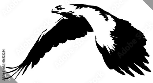 black and white paint draw eagle bird vector illustration