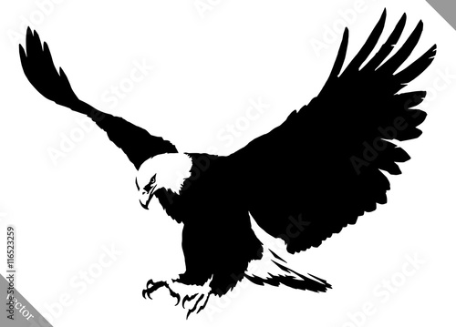Murais de parede black and white paint draw eagle bird vector illustration