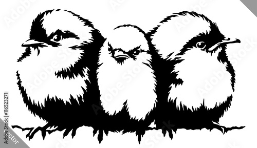 black and white paint draw Sparrow bird vector illustration