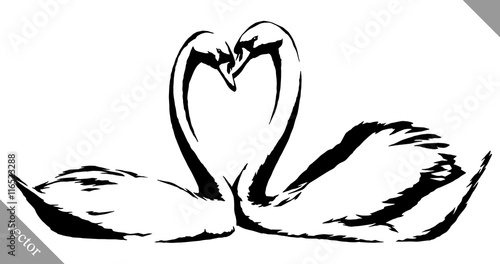 black and white paint draw swans bird vector illustration