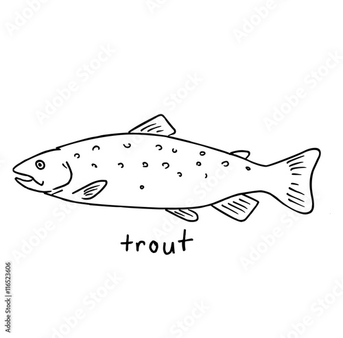 Fish Sketch. Trout handdrawn illustration. Vector image