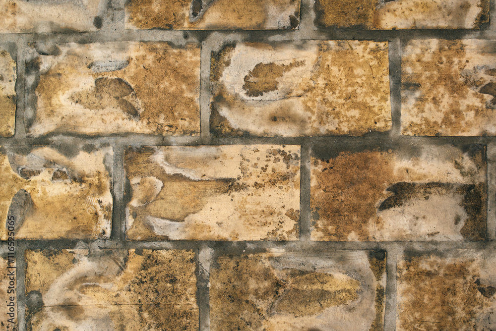 Fototapeta premium Wet brick wall surface