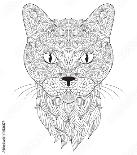 head of cat on white background
