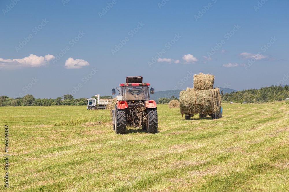 Obraz premium Tractor collecting straw bales