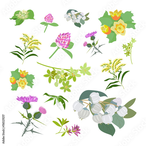 Honey planty set