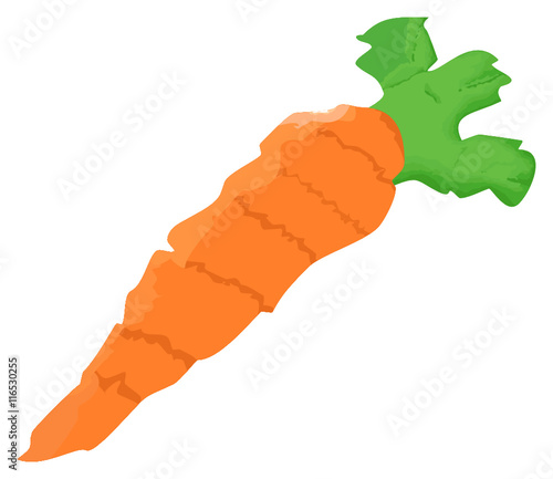 Carrot