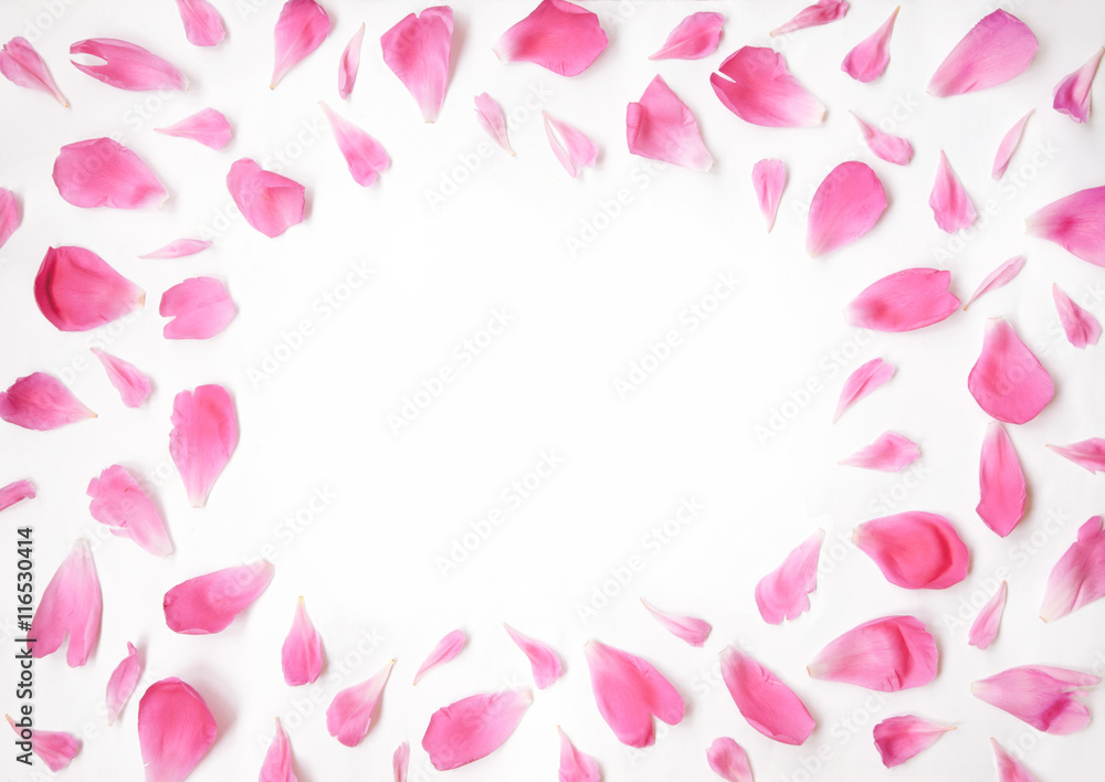 Pink petals of peony flowers lying on a white background